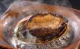 鮑料理一例